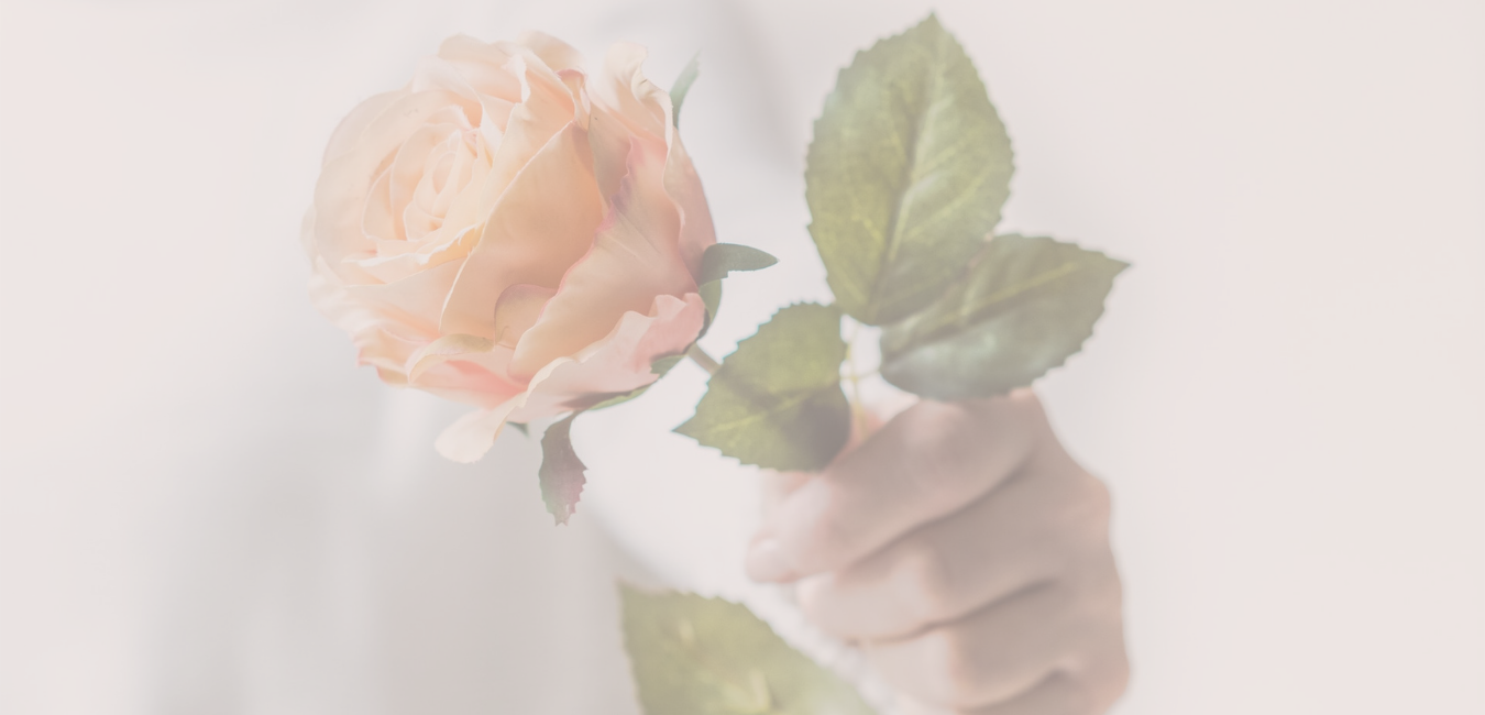A hand holding a rose; a perception of beauty