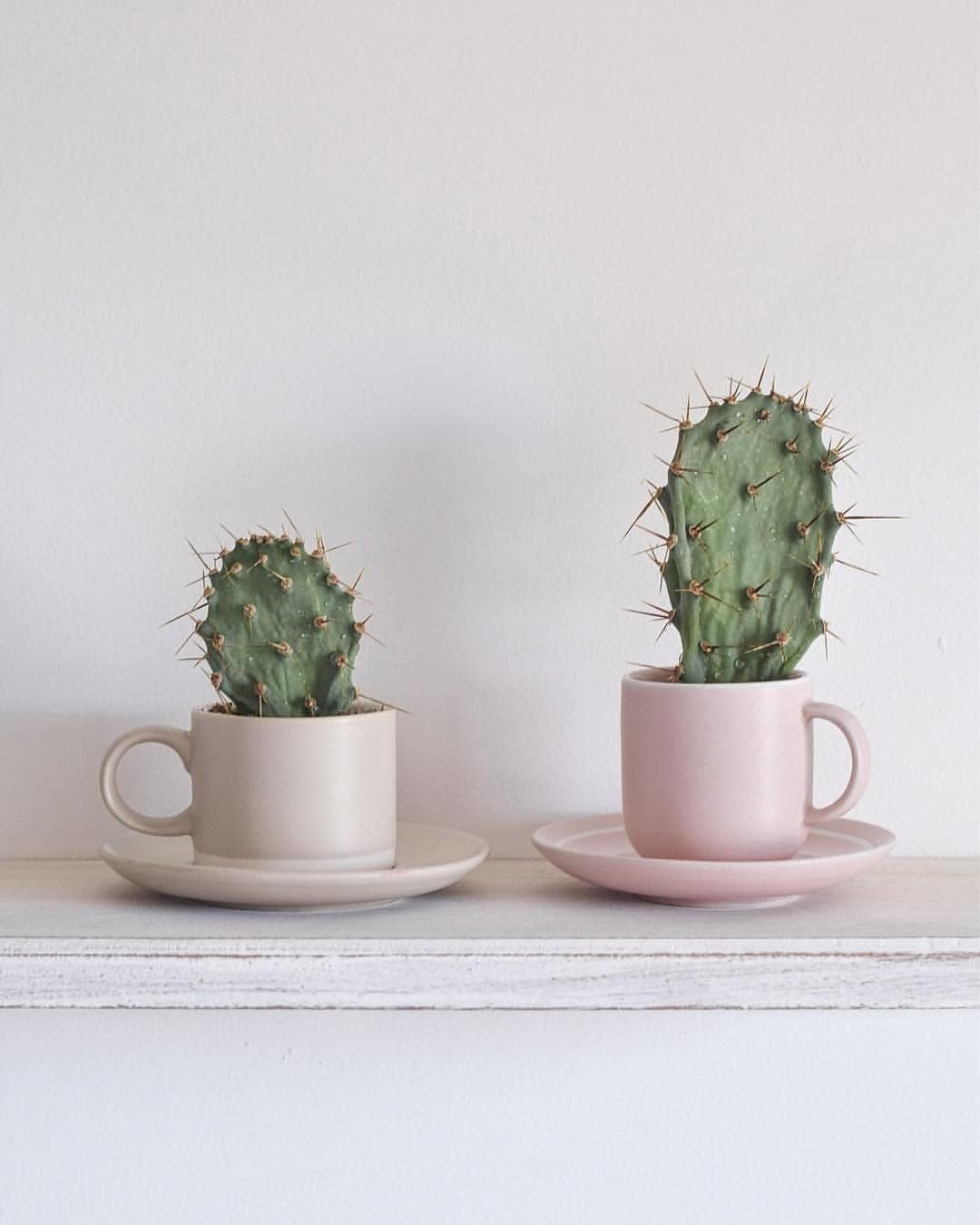 5 Simple Solutions for Dry Winter Skin