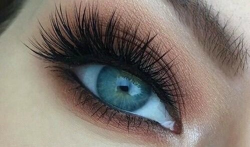 Good Falsies Can Make You a Millionaire.